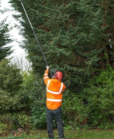 A1 Treez Tree Pruning & Trimming