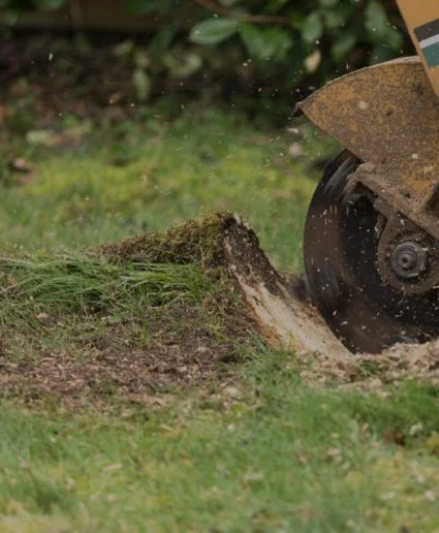 A1 Treez Stump Grinding