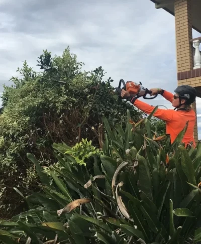 A1 Treez Emergency Removal